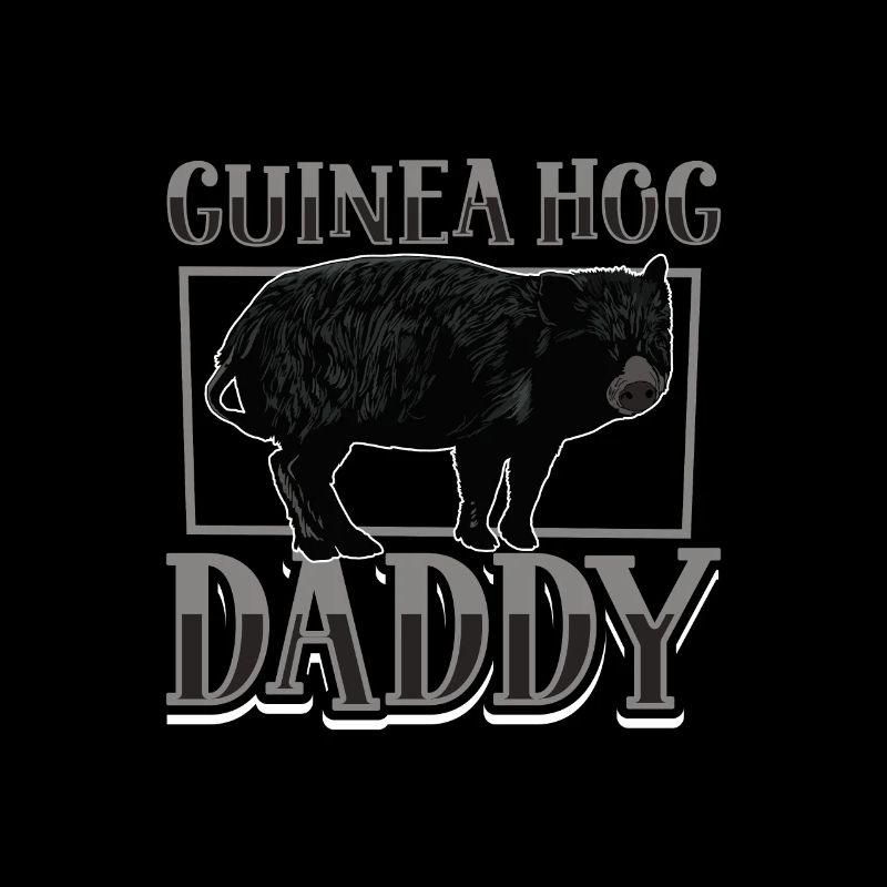 Papa cochon d’Inde