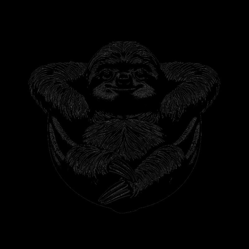 Funny sloth, stay cool, that's important