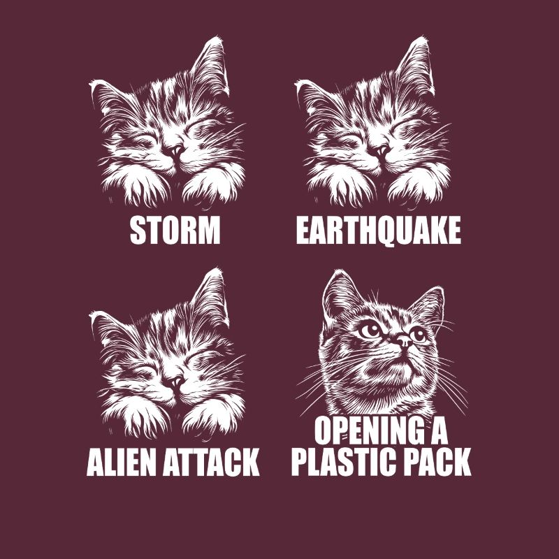 Cat - selective perception - saying