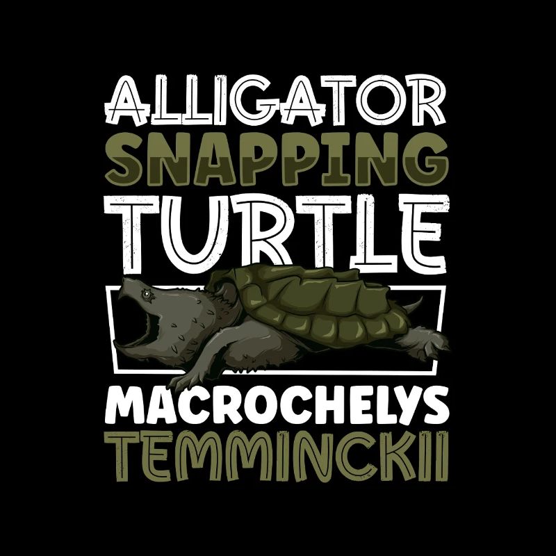 Alligator turtle