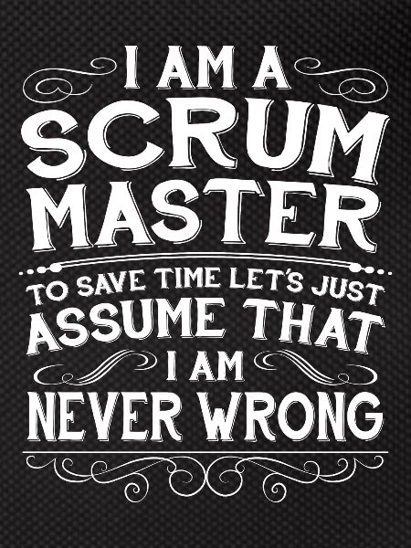 Funny Scrum Master Computer