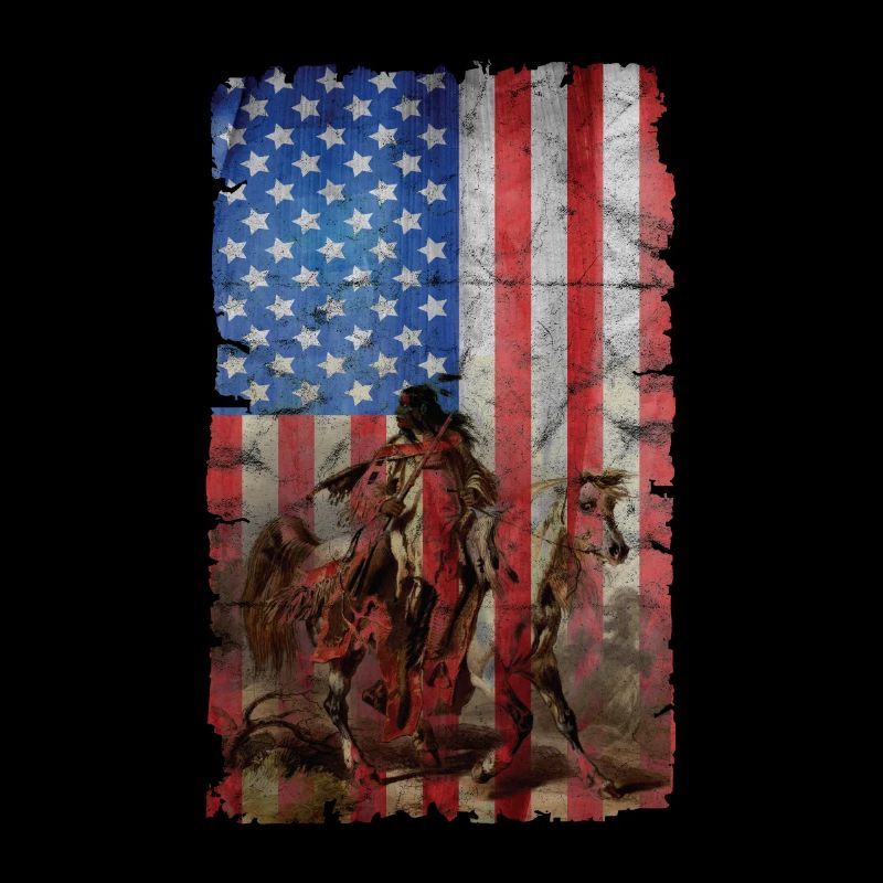Native American USA Flag
