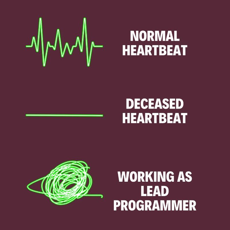 Lead Programmer Worker Funny Programmer