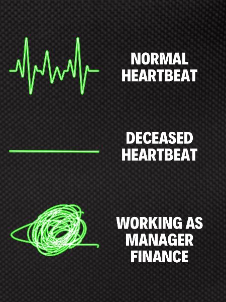 Manager Finance Professional Worker
