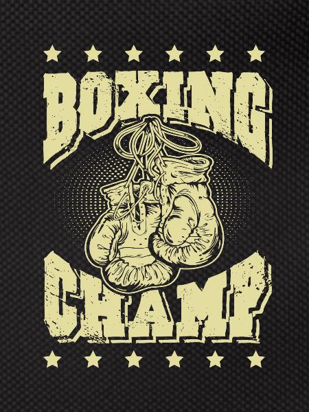 Boxing Champ