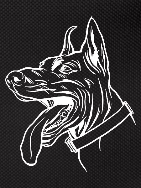 Doberman Dog