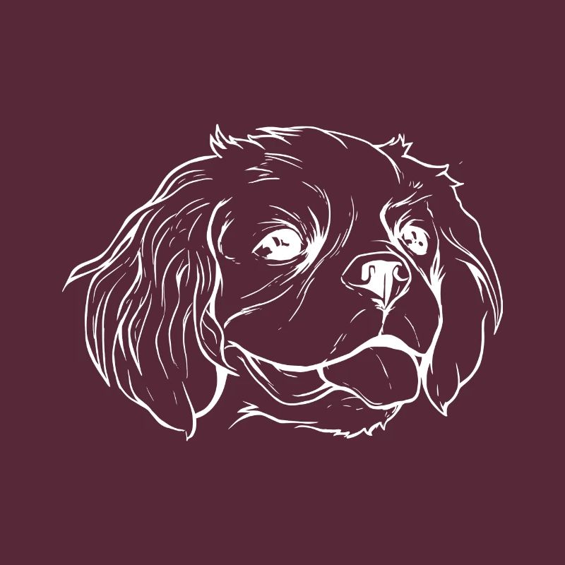 Cavalier Hund