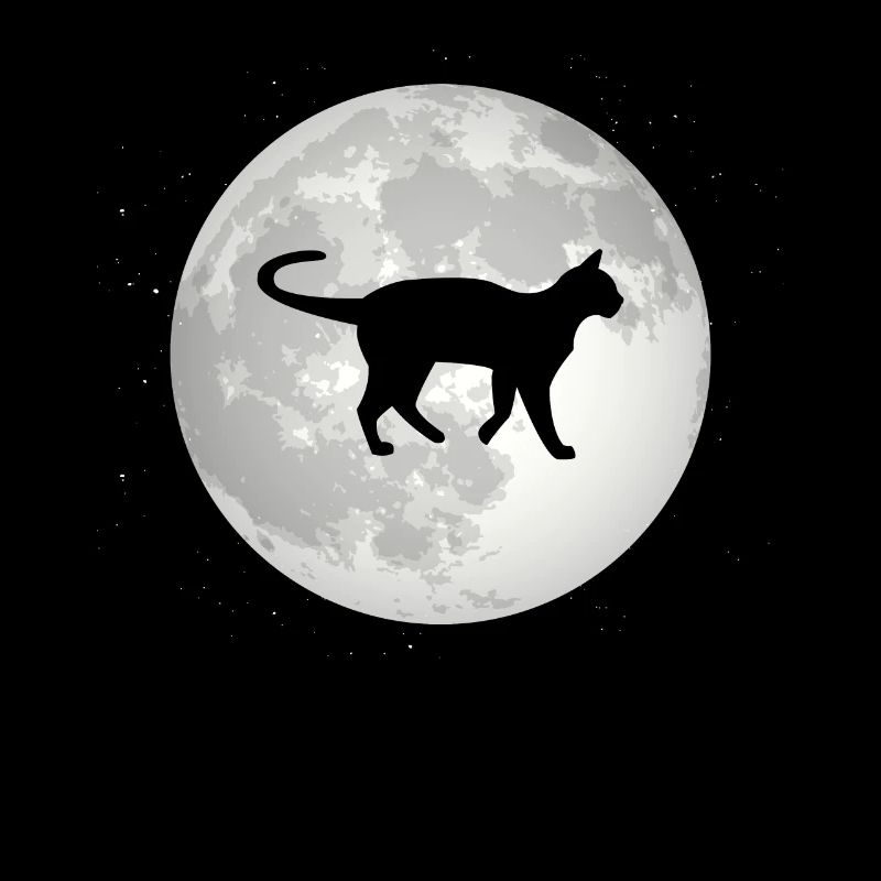 Vollmond - Katze -