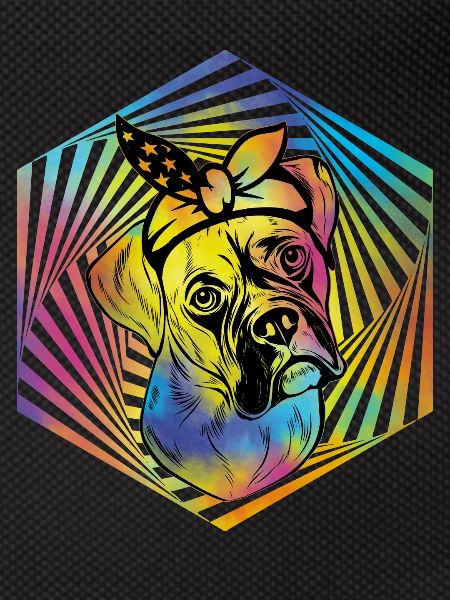 Boxer