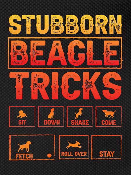 Stubborn Beagle Tricks