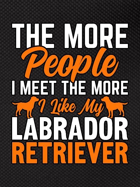 LABRADOR RETRIEVER