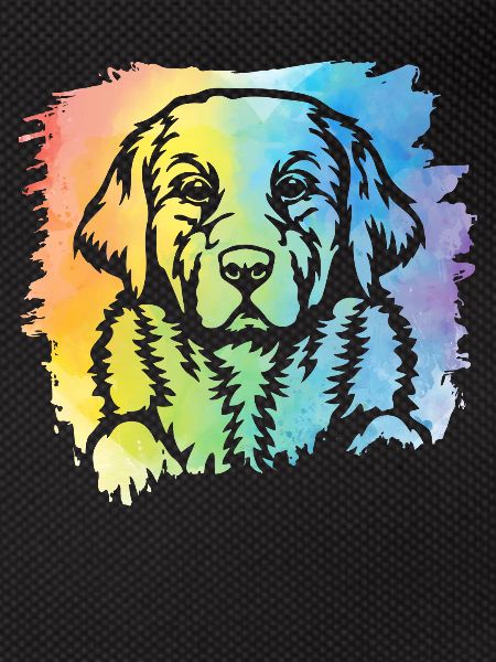 Labrador Retro