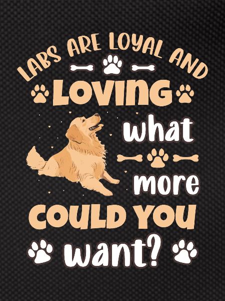Labrador