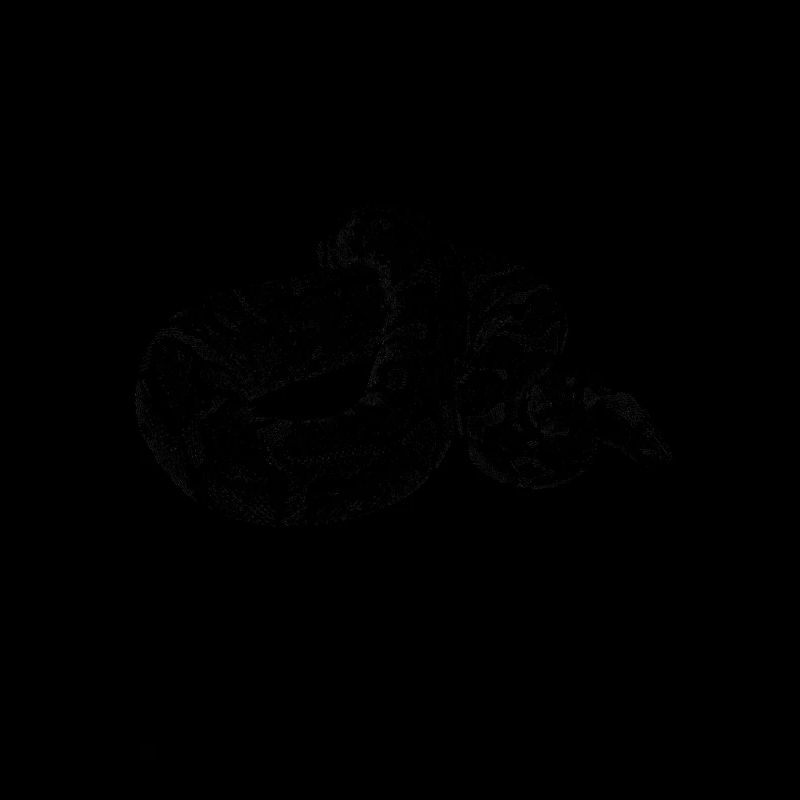 Ball Python Modern Reptile Keeper Streetwear