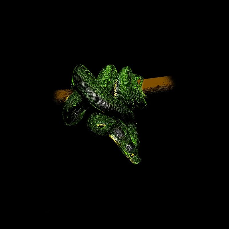 Green Tree Python Modern Reptile Keeper Streetwear