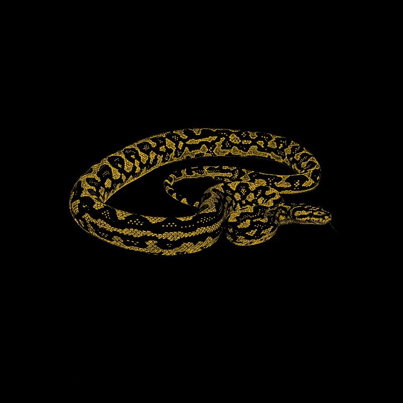 Teppich Python Modern Reptile Keeper Streetwear