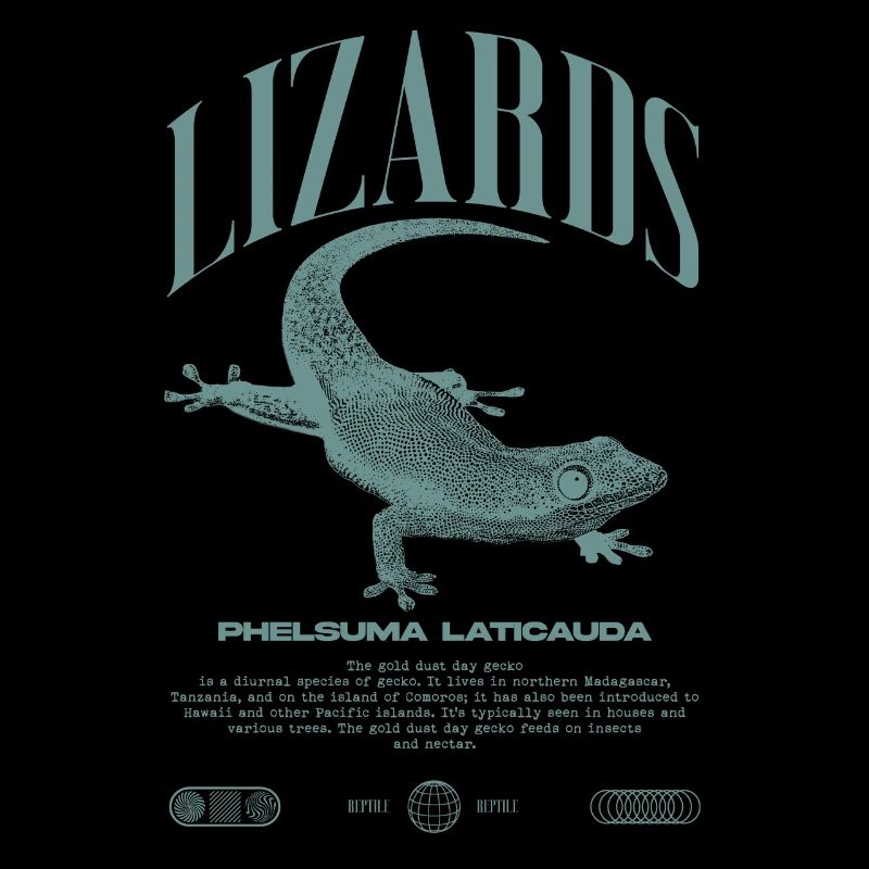 Phelsuma laticauda Tagesgecko Eidechsenpfleger