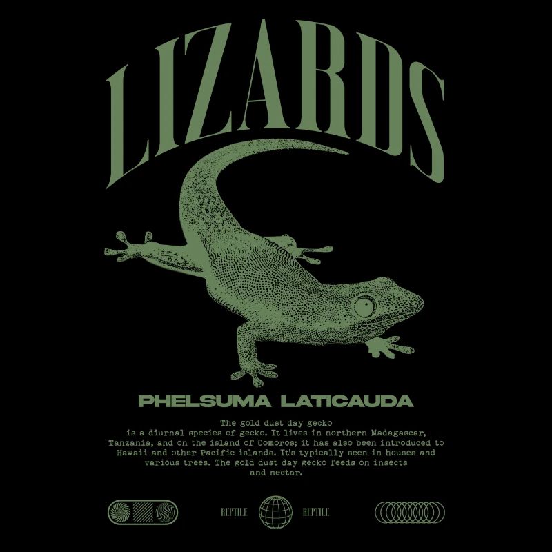 Phelsuma laticauda Tagesgecko Eidechsenpfleger