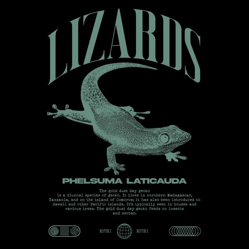 Phelsuma laticauda Tagesgecko Eidechsenpfleger