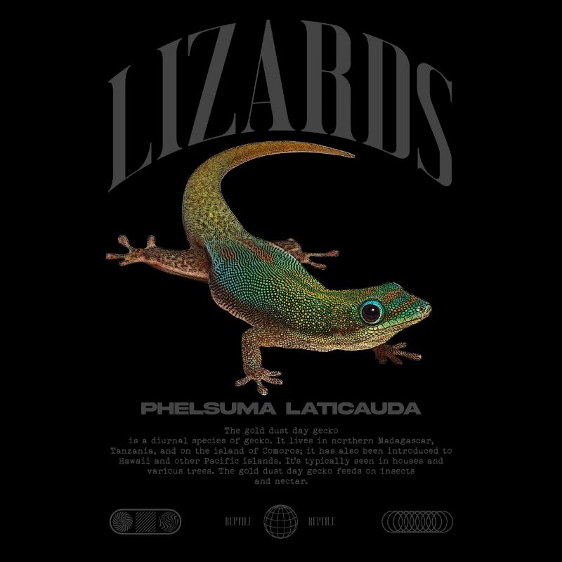Phelsuma laticauda Tagesgecko Eidechsenpfleger