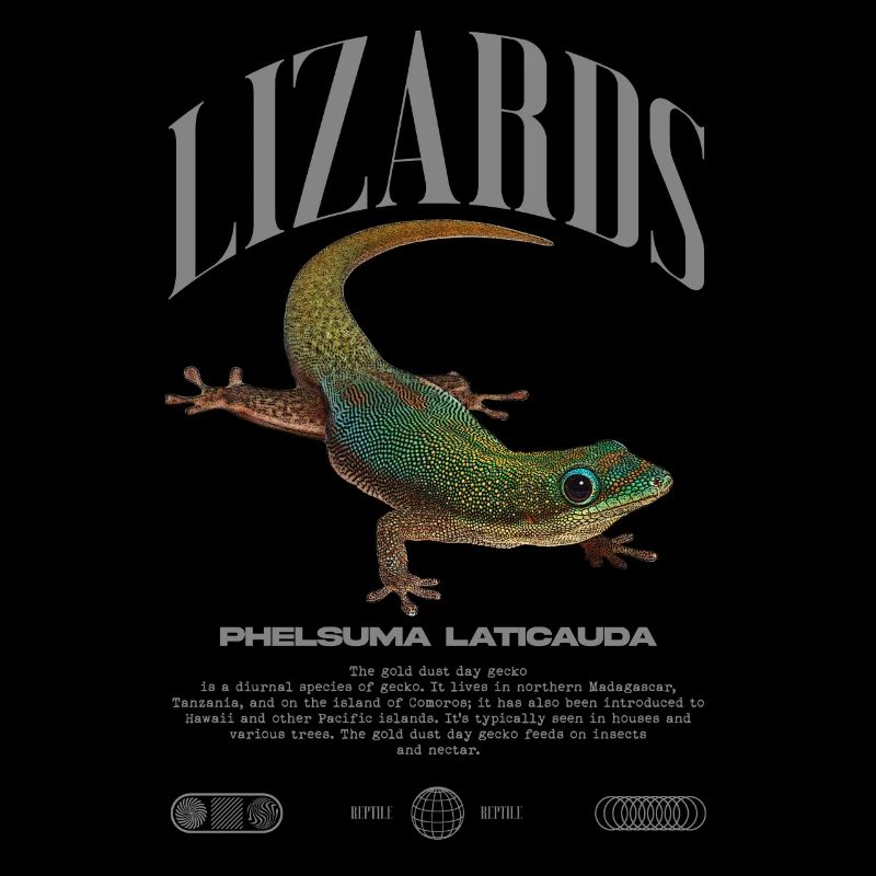 Phelsuma laticauda Tagesgecko Eidechsenpfleger
