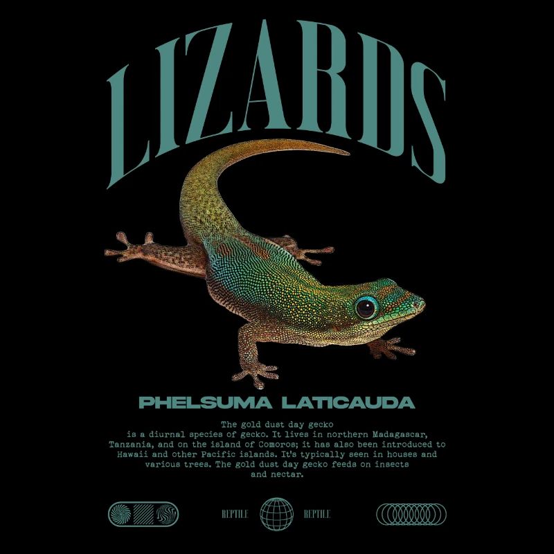 Phelsuma laticauda Tagesgecko Eidechsenpfleger