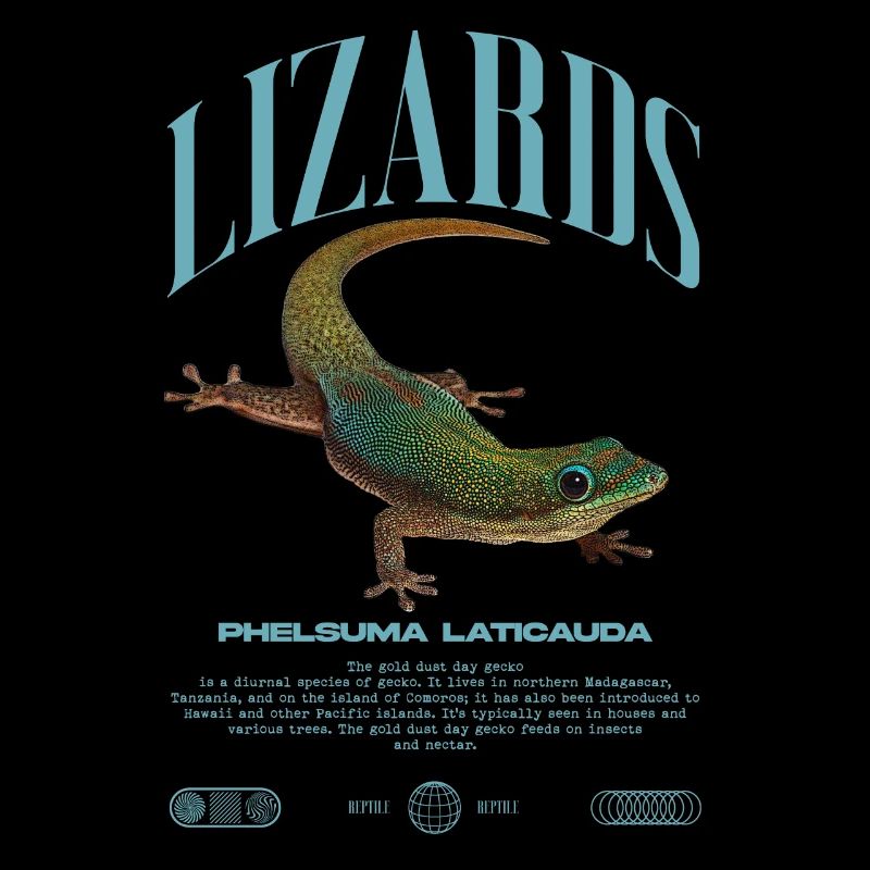 Phelsuma laticauda Tagesgecko Eidechsenpfleger