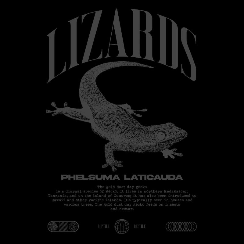 Phelsuma laticauda Tagesgecko Eidechsenpfleger