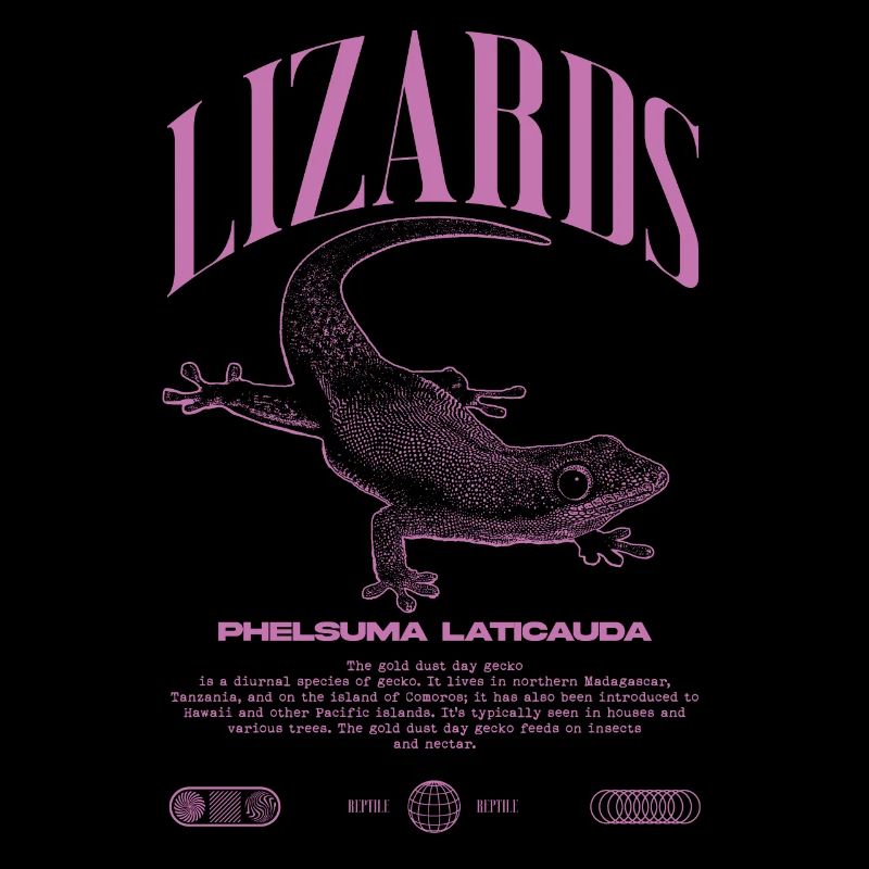 Phelsuma laticauda Tagesgecko Eidechsenpfleger