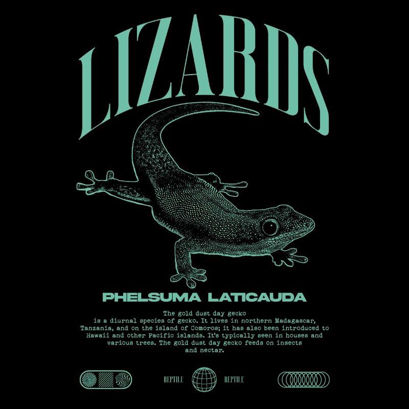 Phelsuma laticauda Tagesgecko Eidechsenpfleger