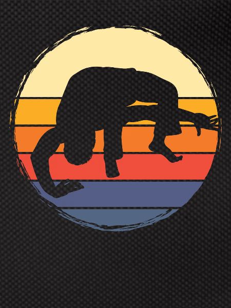 Capoeira