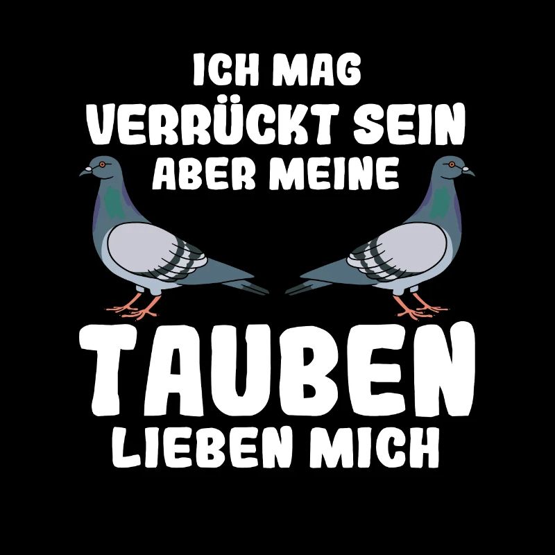 Taube Tauben Vogel