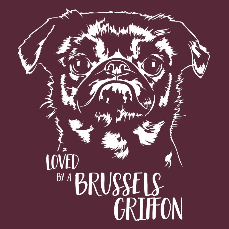Loved by a Brussels Griffon Dogs Dwarf Griffon
