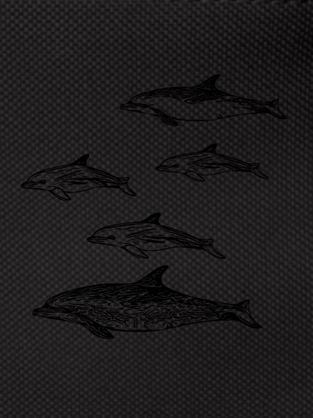 Dolphin School