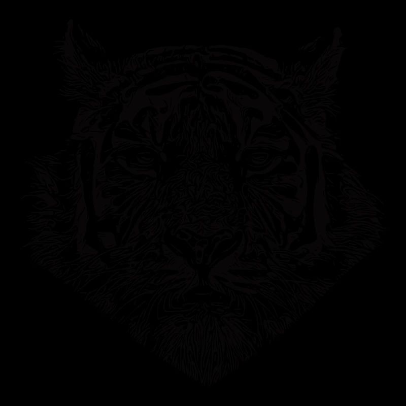 Tiger big cat with striped pattern