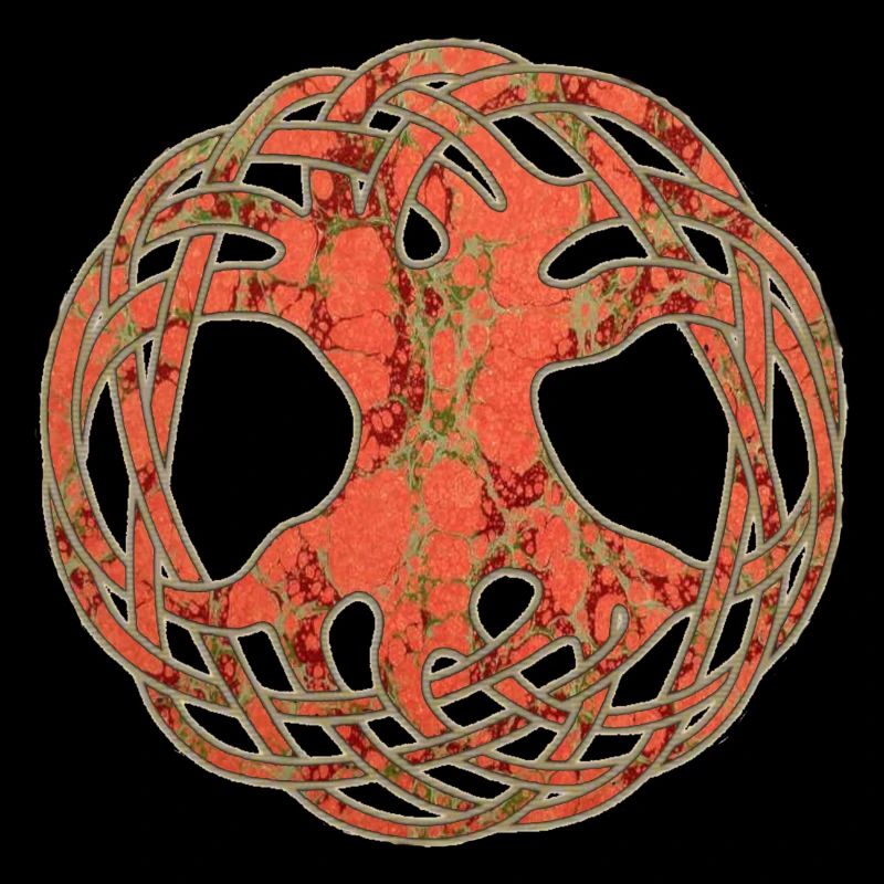 Celtic Arborvitae E 213