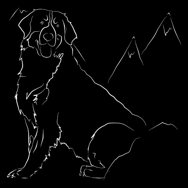 Bernese Mountain Dog