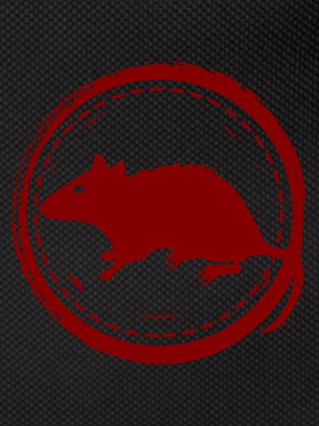Rat - Rodent