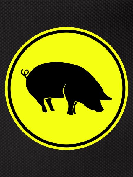Schwein Tier