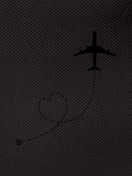 Airplane Icon