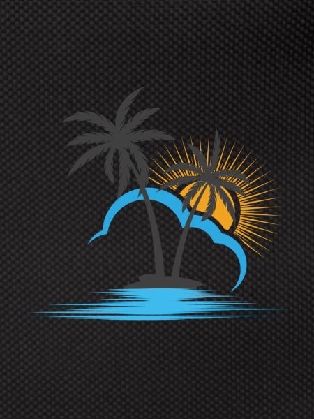 Palm Beach Sun
