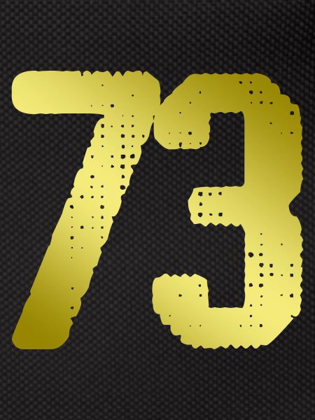 73 Number jersey