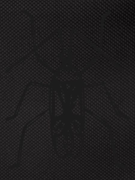 kaefer-01