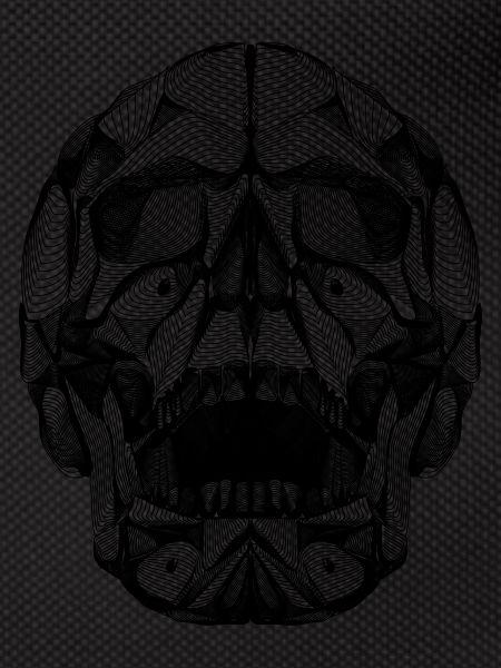 Human Skull