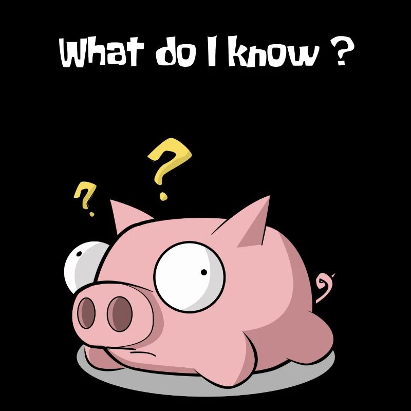 Cochon Piggy Sau Clueless Planless