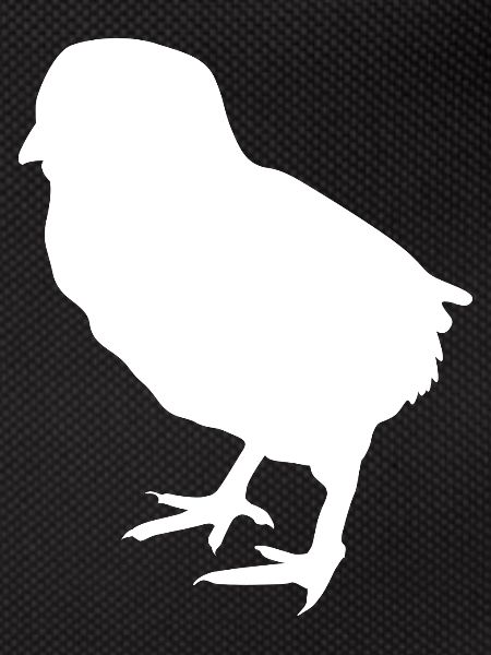 poussin