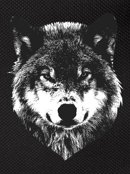 Wolf head