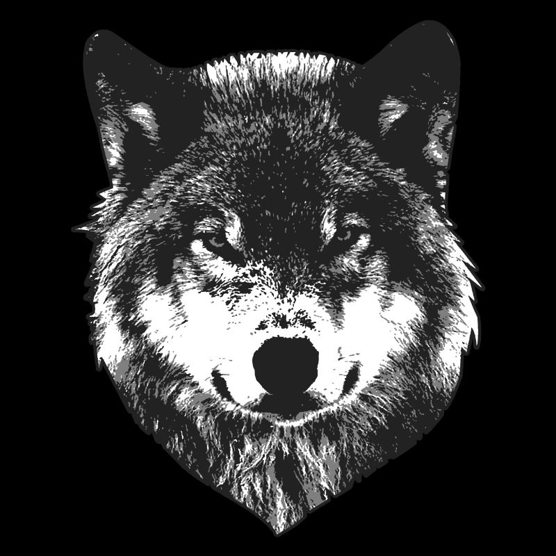 Wolf Kopf