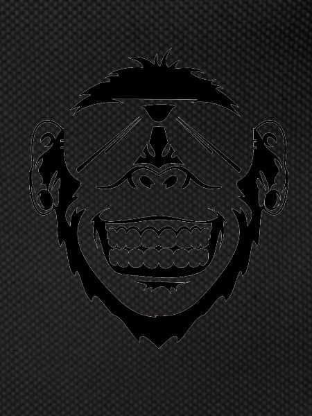 Monkey with sunglasses