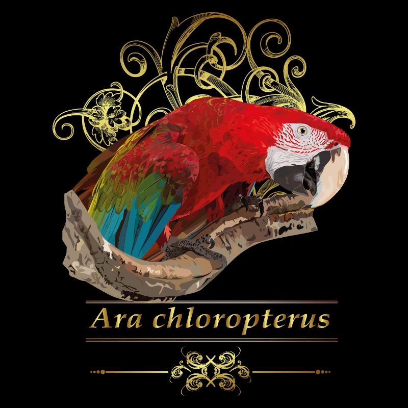 red macaw